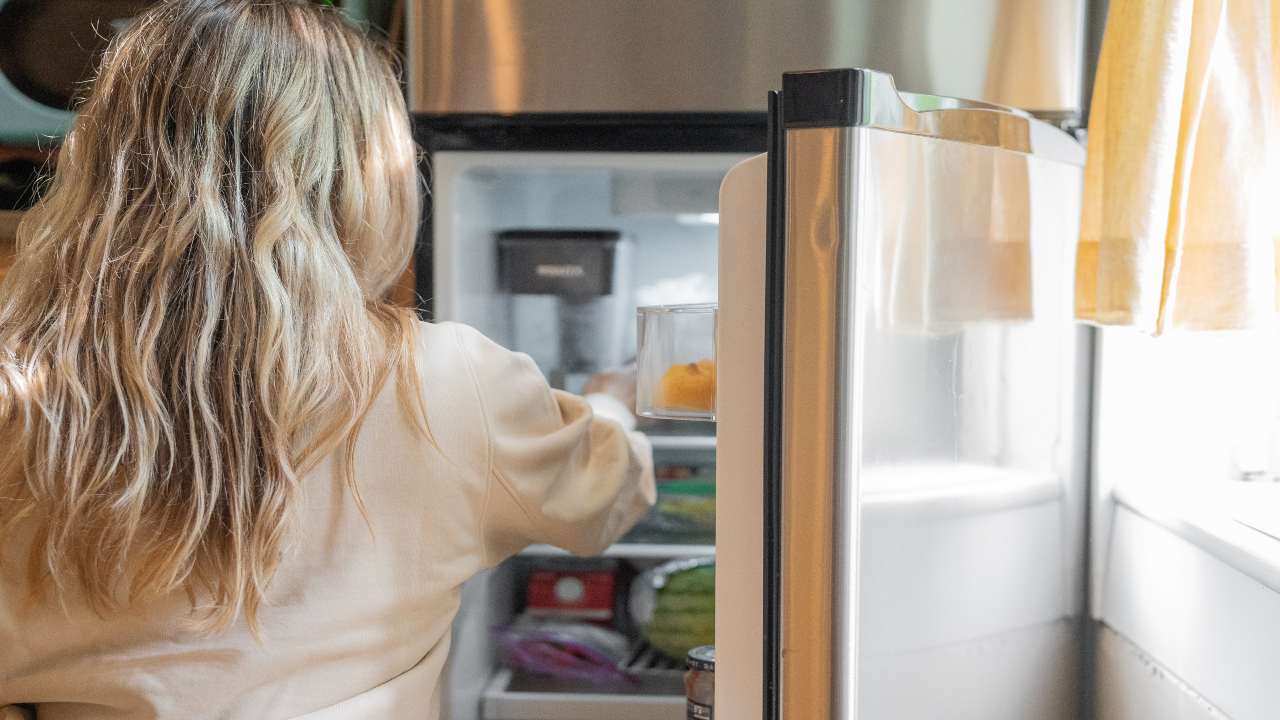 Come conservare al meglio gli alimenti del frigorifero