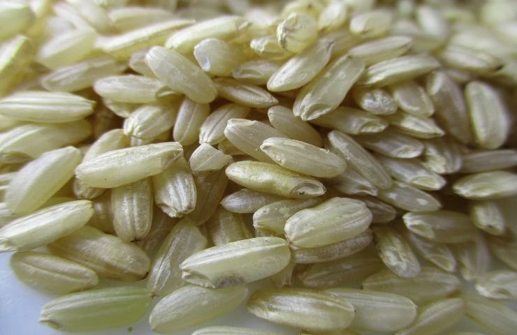 Metodi per rendere la cottura del riso impeccabile
