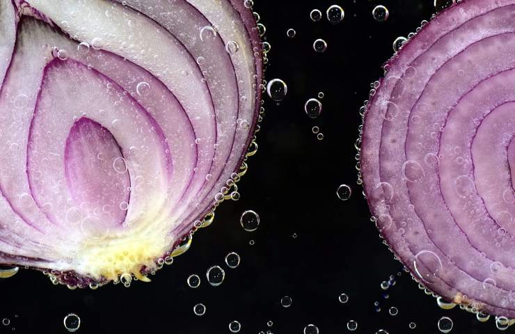 Le cipolle sono ricche di proprietà comprese buccia e bulbo