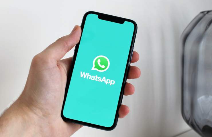 whatsapp aggiornamento messaggi